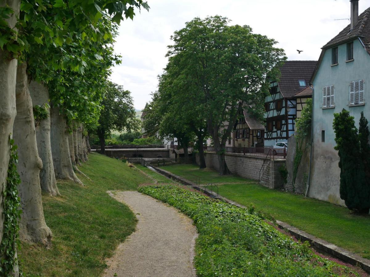 La Cour St-Fulrad - Appartements แซ็ง-อิปโปลีท ภายนอก รูปภาพ